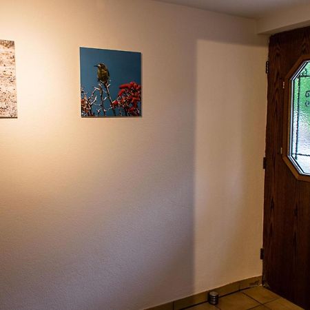 Ferienwohnung Untersteinbach プフェーデルバッハ エクステリア 写真